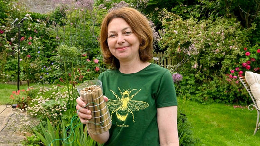 Saving the Bees: Alison Benjamin - BZZWAX