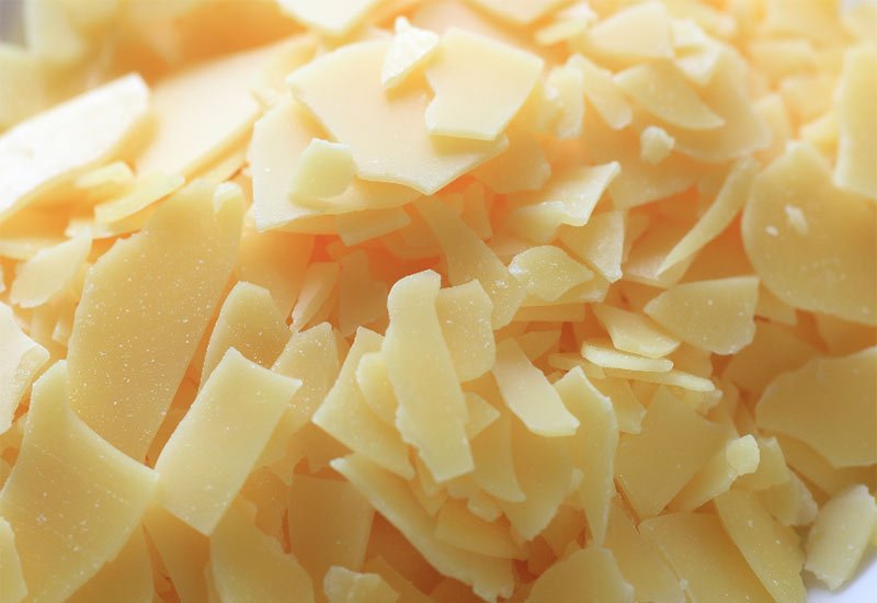 Candelilla Wax vs. Beeswax: A Comprehensive Guide - BZZWAX