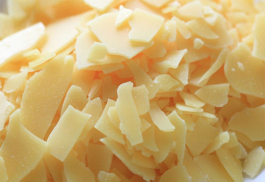 Candelilla Wax vs. Beeswax: A Comprehensive Guide - BZZWAX