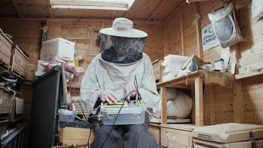 Meeting the Beekeeper: Bioni Samp - BZZWAX