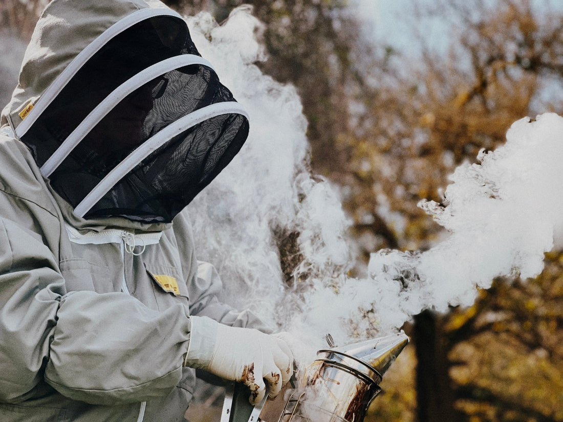 Meeting the Beekeeper: Harry Hazlem - BZZWAX