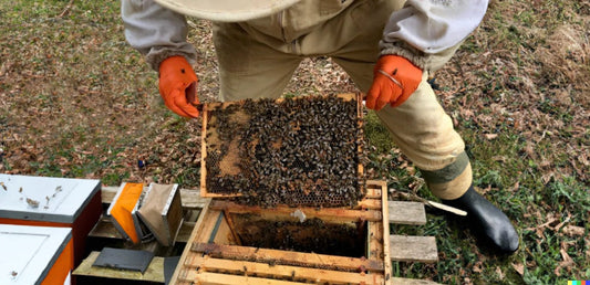 Meeting the Beekeeper: Martin Pope - BZZWAX