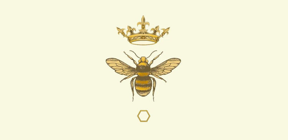 The Queen Bee: Importance, Spiritual Meaning and Mythology - BZZWAX